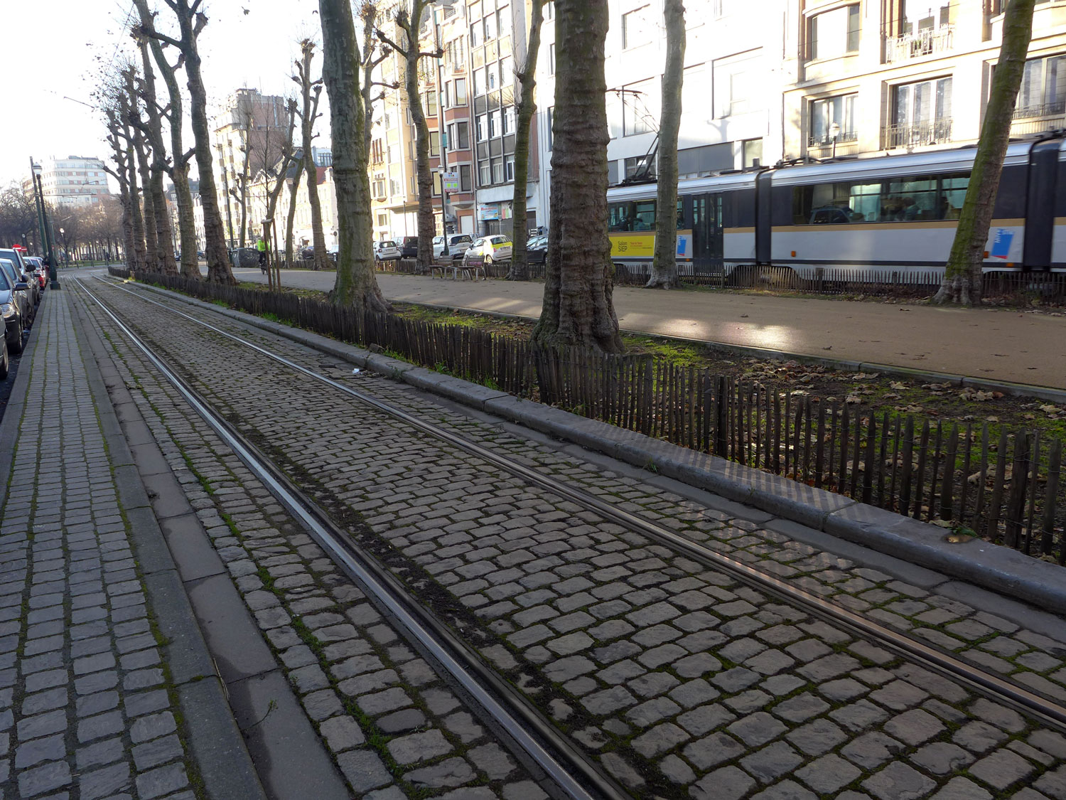 Les transports en commun comme le tramway sont une solution pour ralentir le réchauffement de la planète.