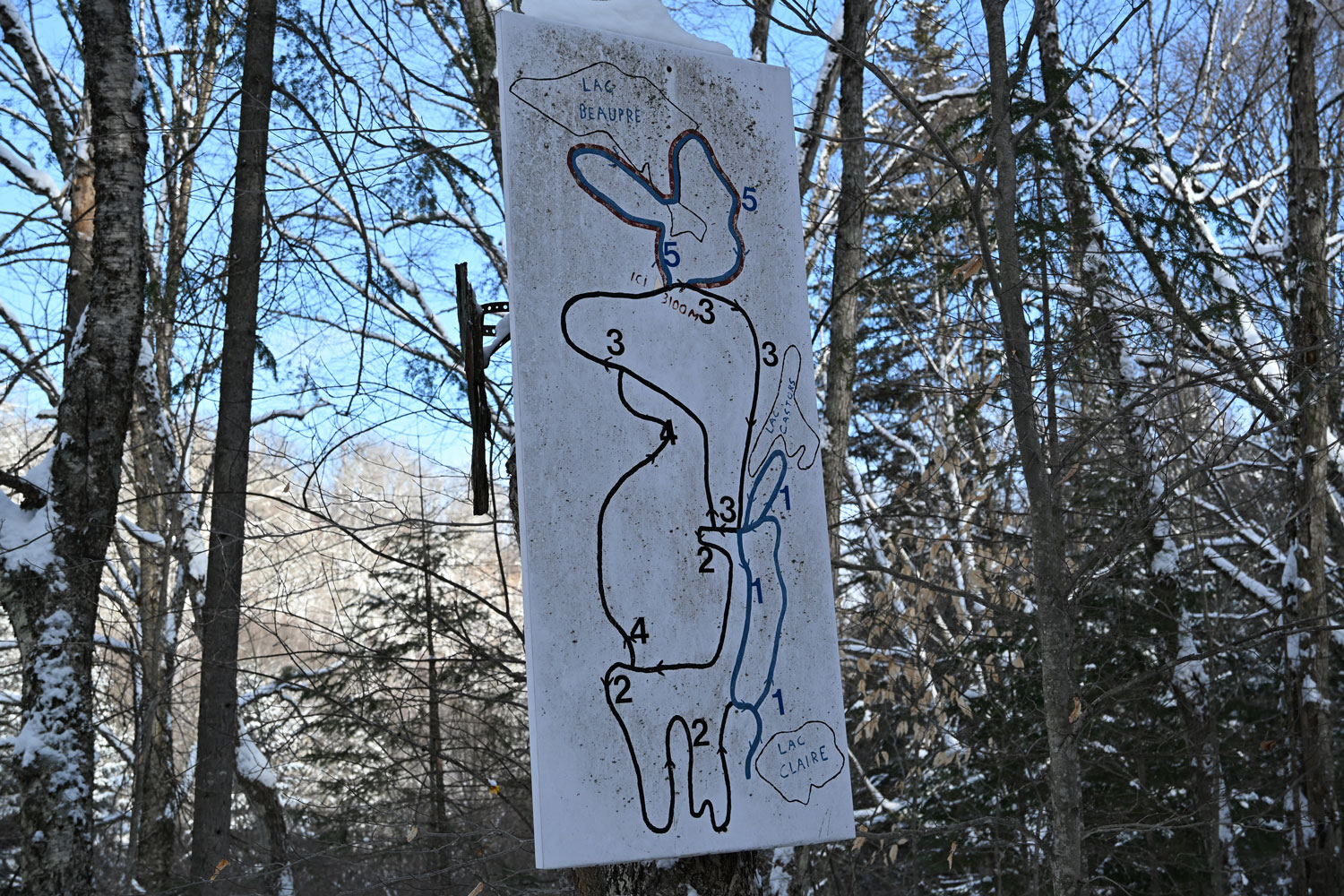 Au Havre familial, dans la forêt des chemins pour ski de fond ou raquette sont tracés © Globe Reporters