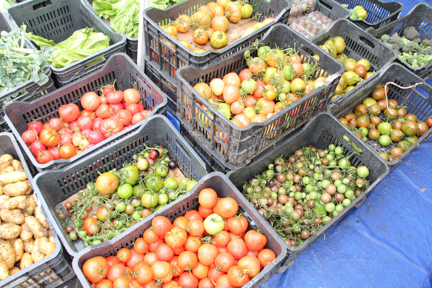 Étape chez le marchand de légumes.