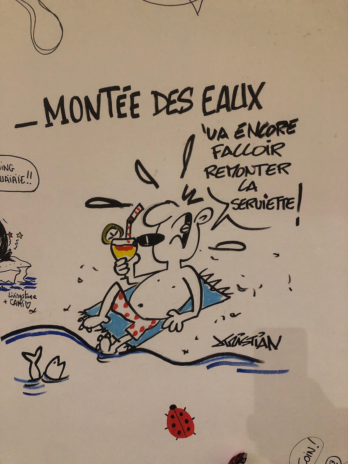 Détails des dessins réalisés par Cartooning for Climate  © Globe Reporters