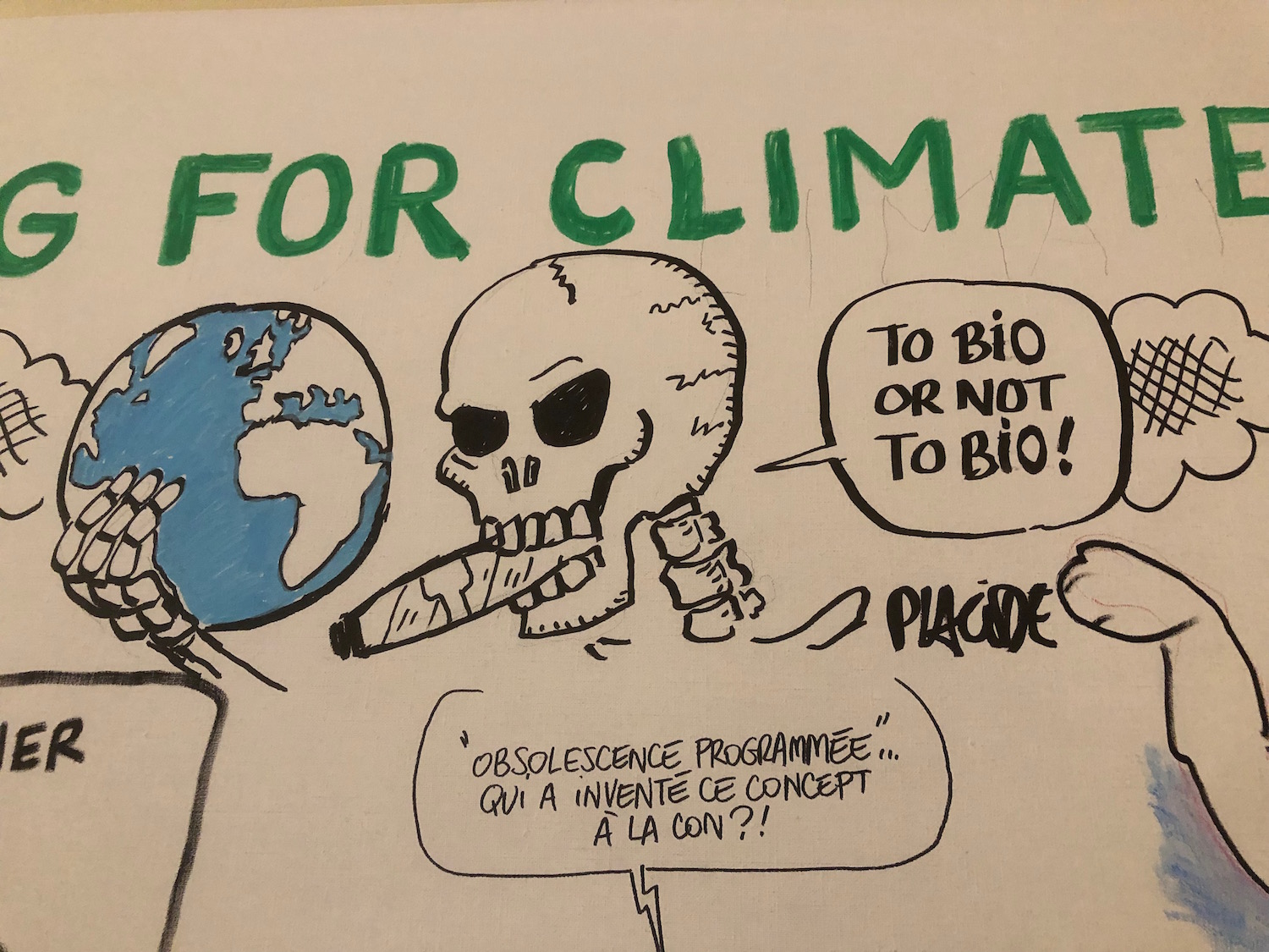 Détails des dessins réalisés par Cartooning for Climate  © Globe Reporters